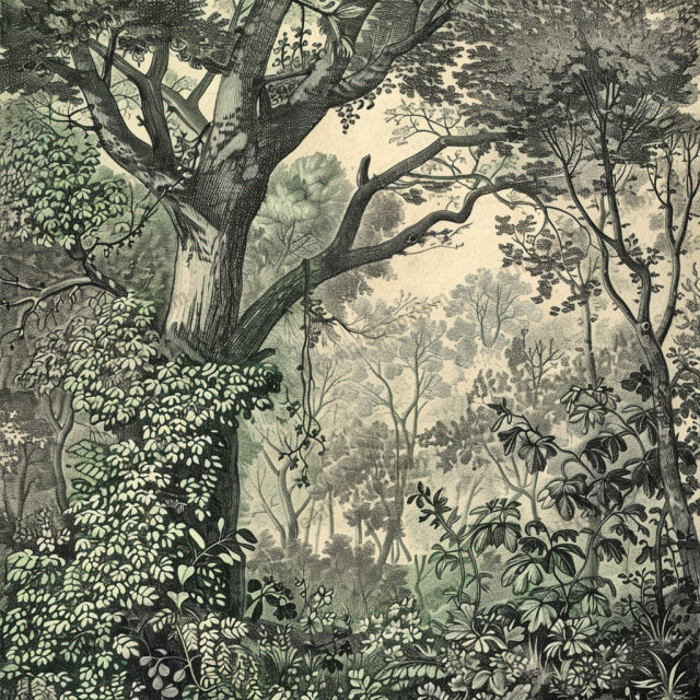 Vintage Landscape Scenes AI MidJourney Image Prompt, 9354 Storybook Illustrations, midjourney, vintage, landscape, nostalgic, detailed, muted colors, scenic, nature, cityscape, urban, desert, forest, underwater, old-fashioned, classic, artistic, illustration, antique, retro, picturesque, art, Midjourney, Ai, Ai Image Prompt, Image Prompt, Prompt
