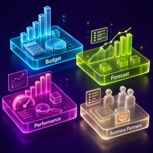 Illustrative overview of finance director planning areas covering budget, forecast, performance, and business partnering.